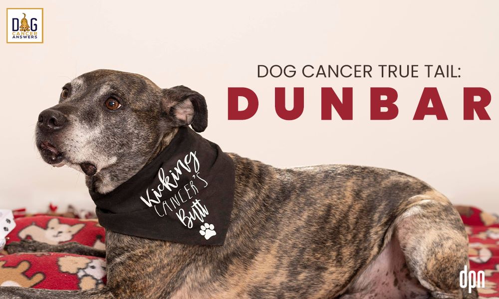 Dog Cancer True Tail Dunbar
