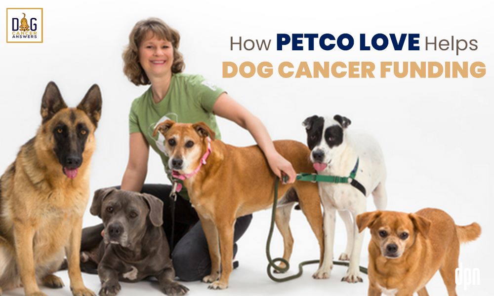 How Petco Love Helps Dog Cancer Funding