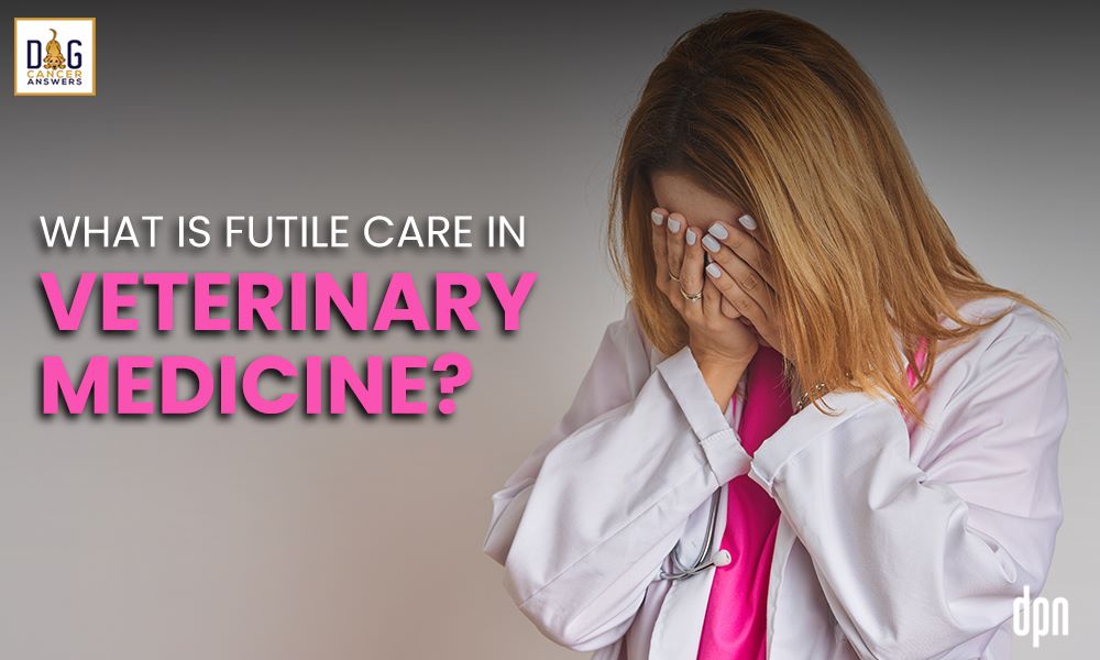  What Is Futile Care In Veterinary Medicine Dr Nathan Peterson Dog 