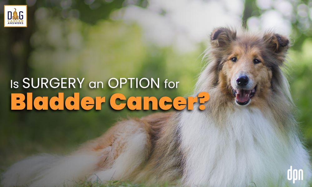 Is Surgery an Option for Bladder Cancer