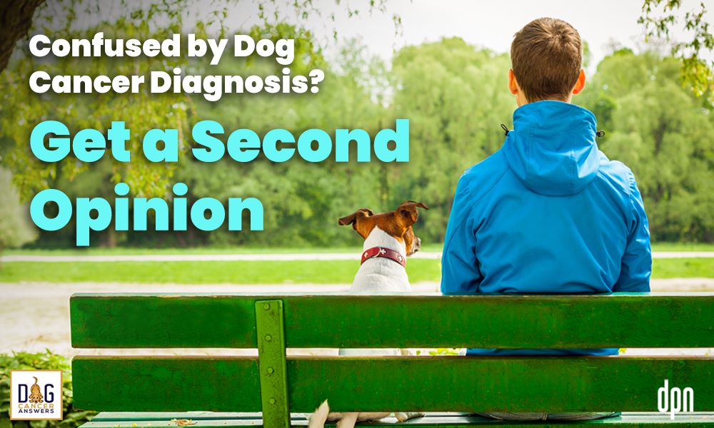 Confused by Dog Cancer Diagnosis-Get a Second Opinion