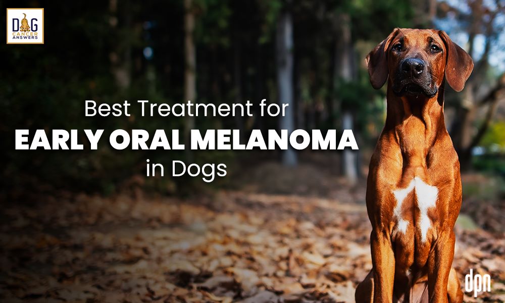 Best Treatment for Early Oral Melanoma in Dogs