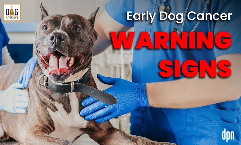 Early Dog Cancer Warning Signs