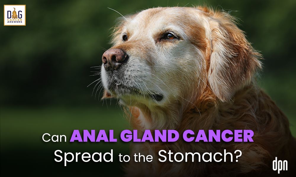 Can Anal Gland Cancer Spread to the Stomach