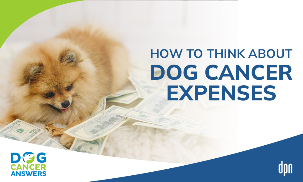 How to Think About Dog Cancer Expenses