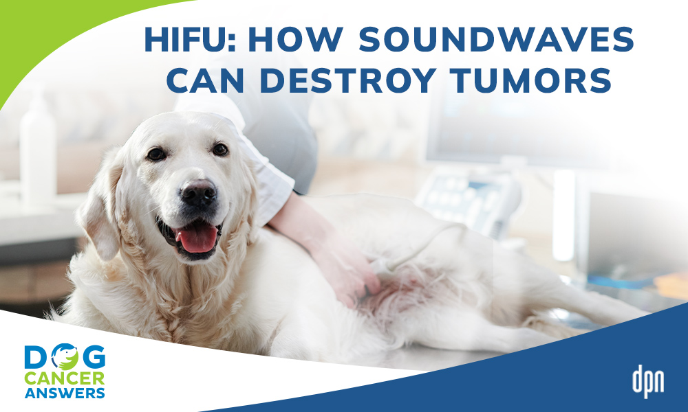 HIFU How Soundwaves Can Destroy Tumors